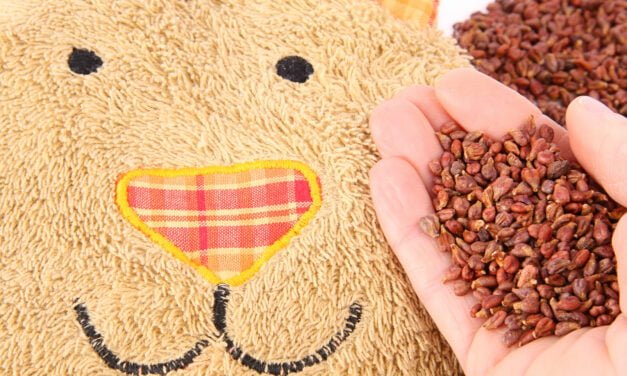 1001 Korn oder die wohltuende Kraft der Körner: Körnerkissen für heilende Wärme oder Kälte