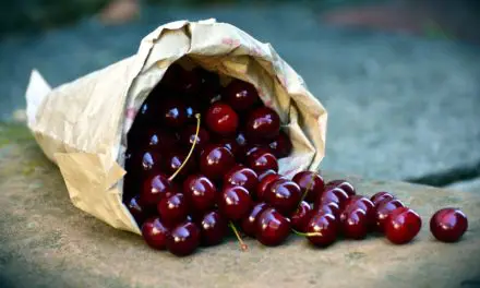 Kirschkernkissen