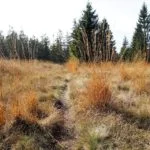 Moorkissen zur Wärme- und Kältebehandlung